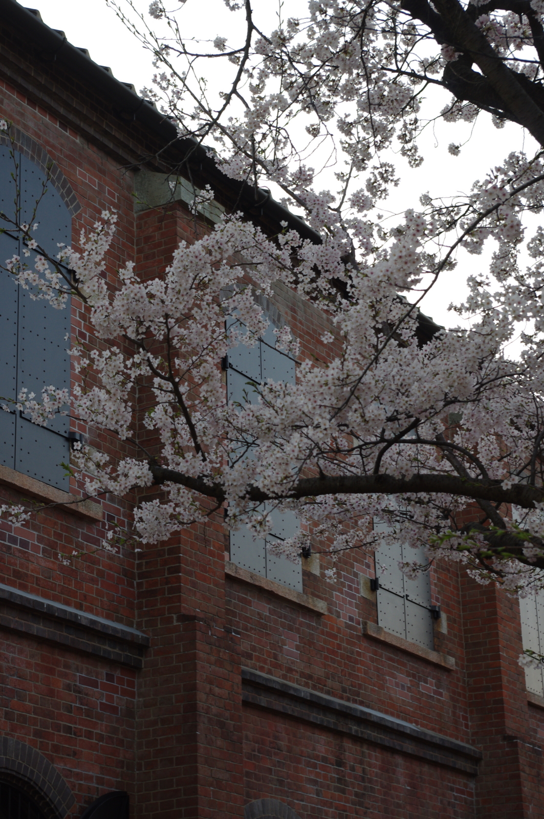 f:id:k10no3:20150409062126j:image:w279 f:id:k10no3:20150409062126j:image:w279