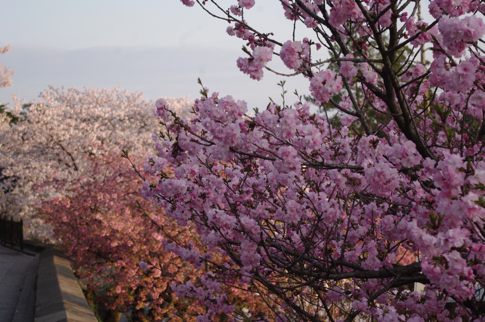 f:id:k10no3:20150409062731j:image:w560 f:id:k10no3:20150409062731j:image:w560