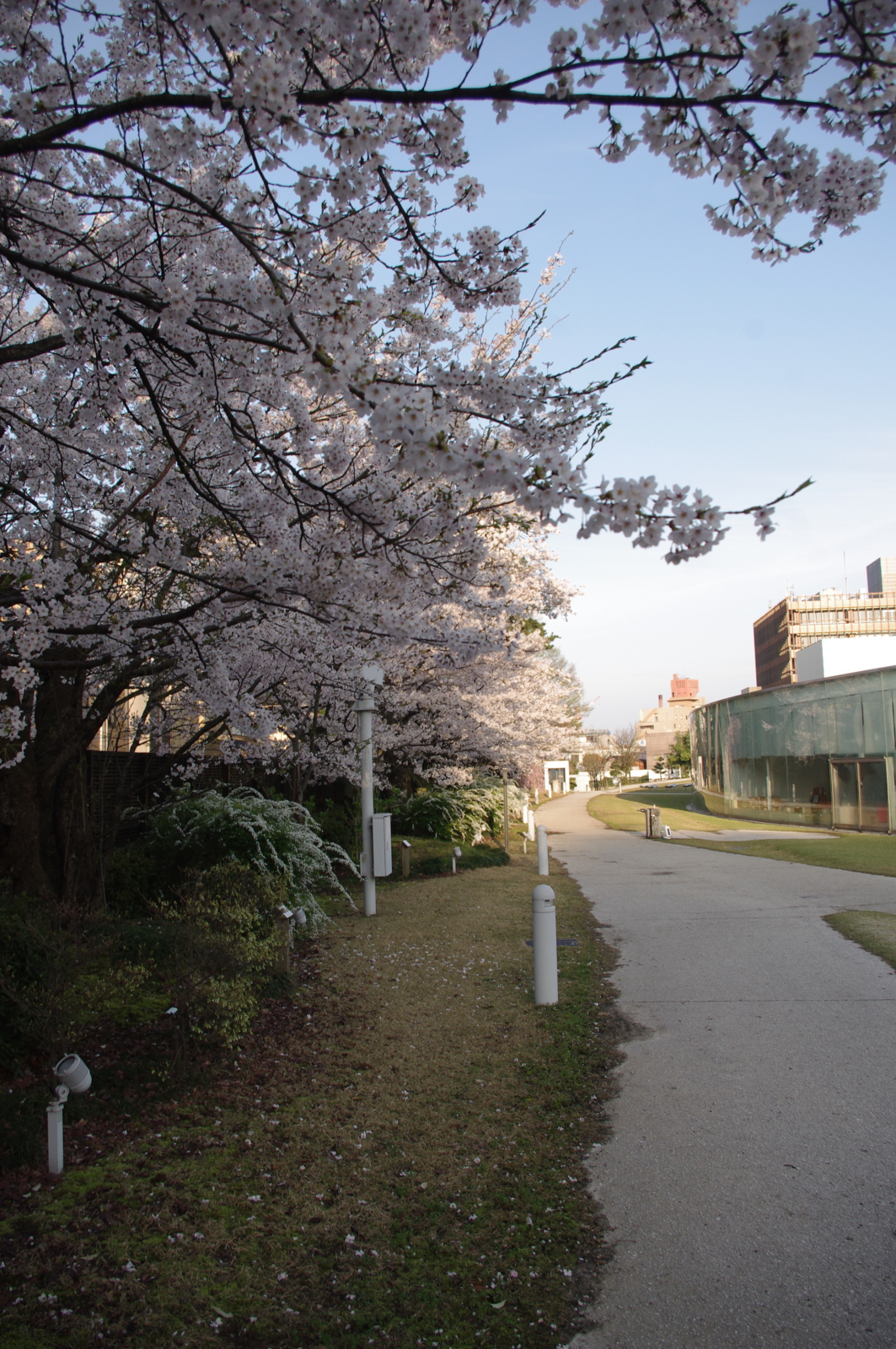 f:id:k10no3:20150409064540j:image:w279 f:id:k10no3:20150409064540j:image:w279