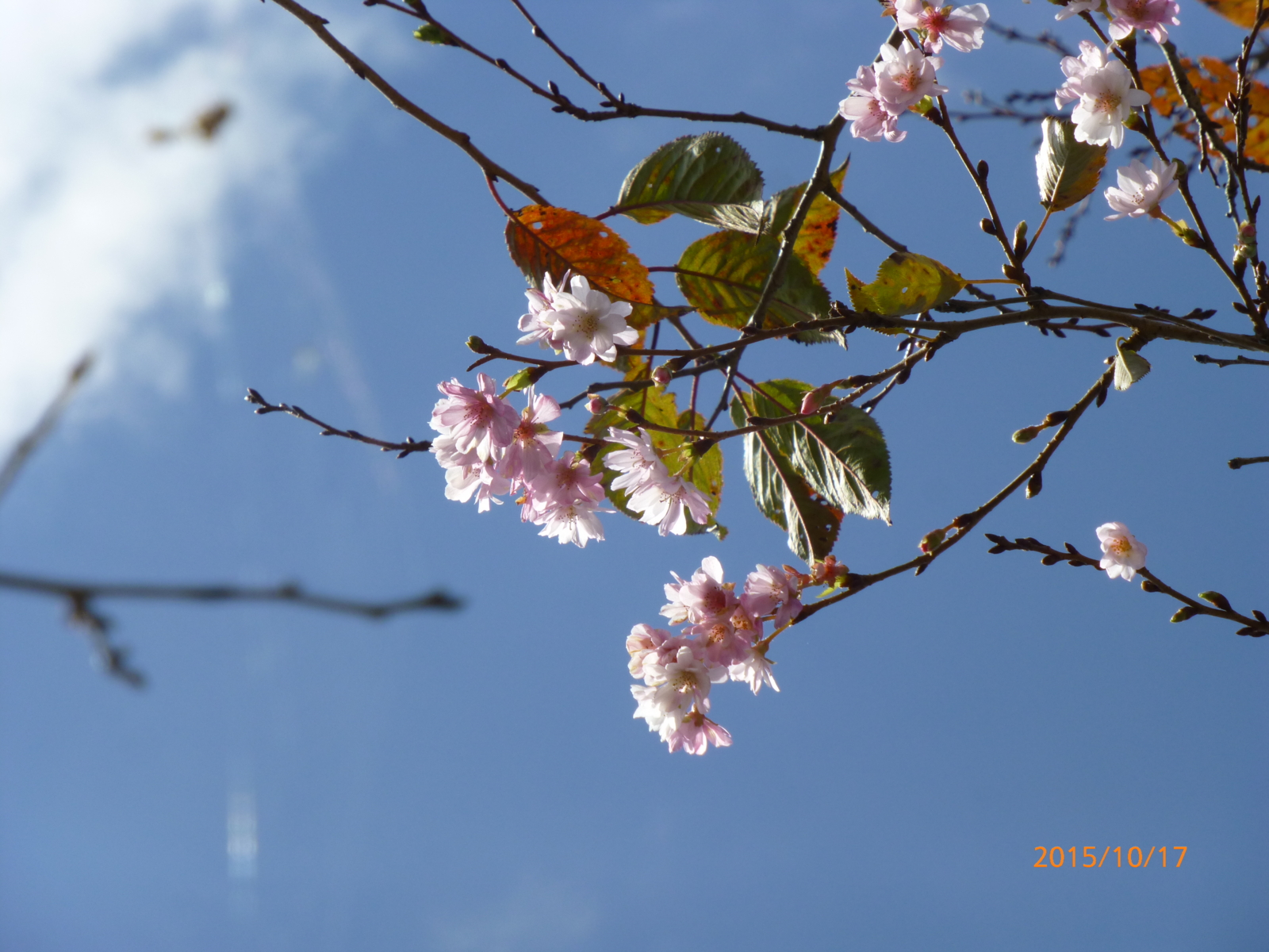 f:id:k10no3:20151017111218j:image:w560 f:id:k10no3:20151017111218j:image:w560