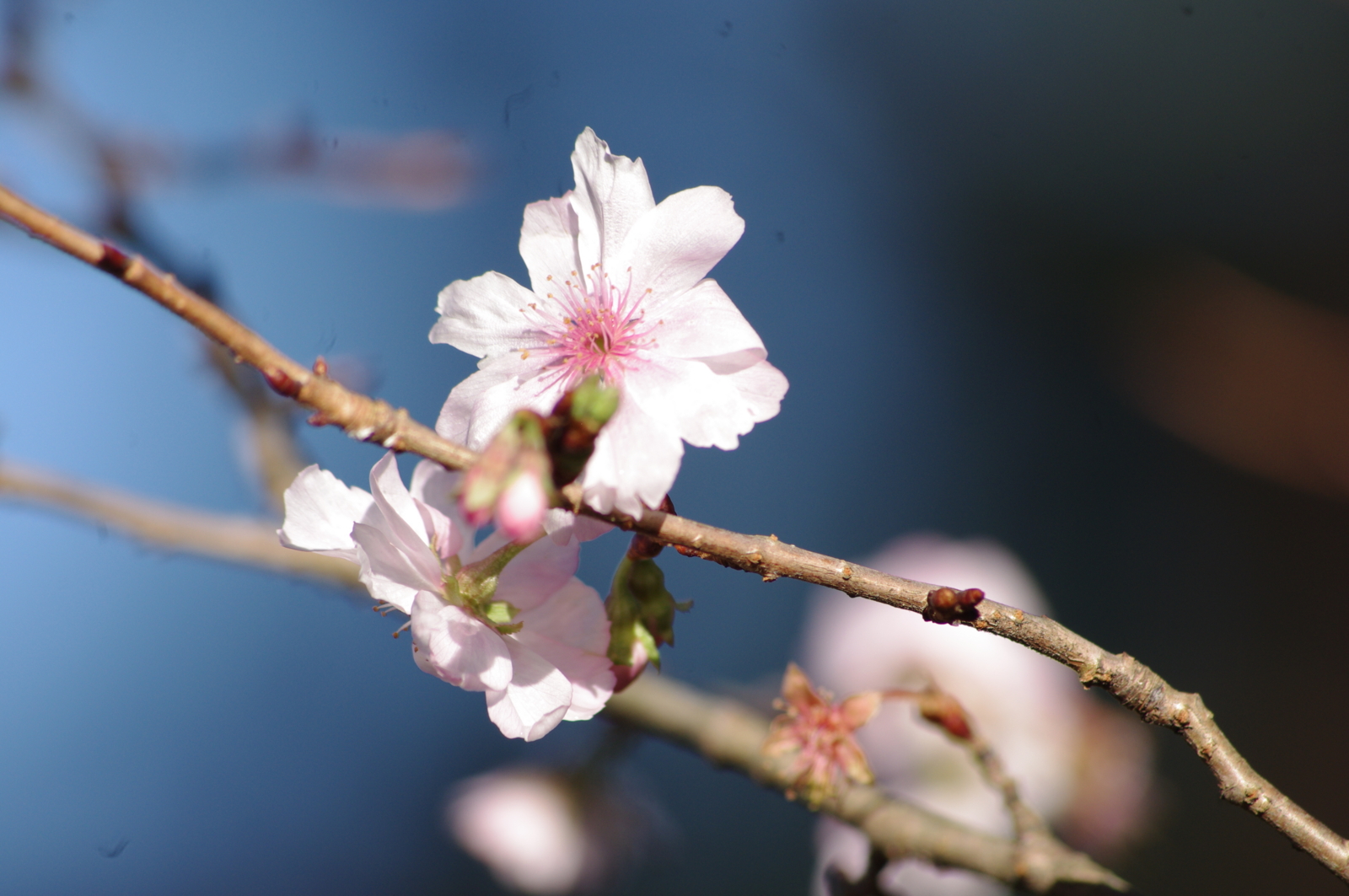 f:id:k10no3:20151101082029j:image:w630 f:id:k10no3:20151101082029j:image:w630