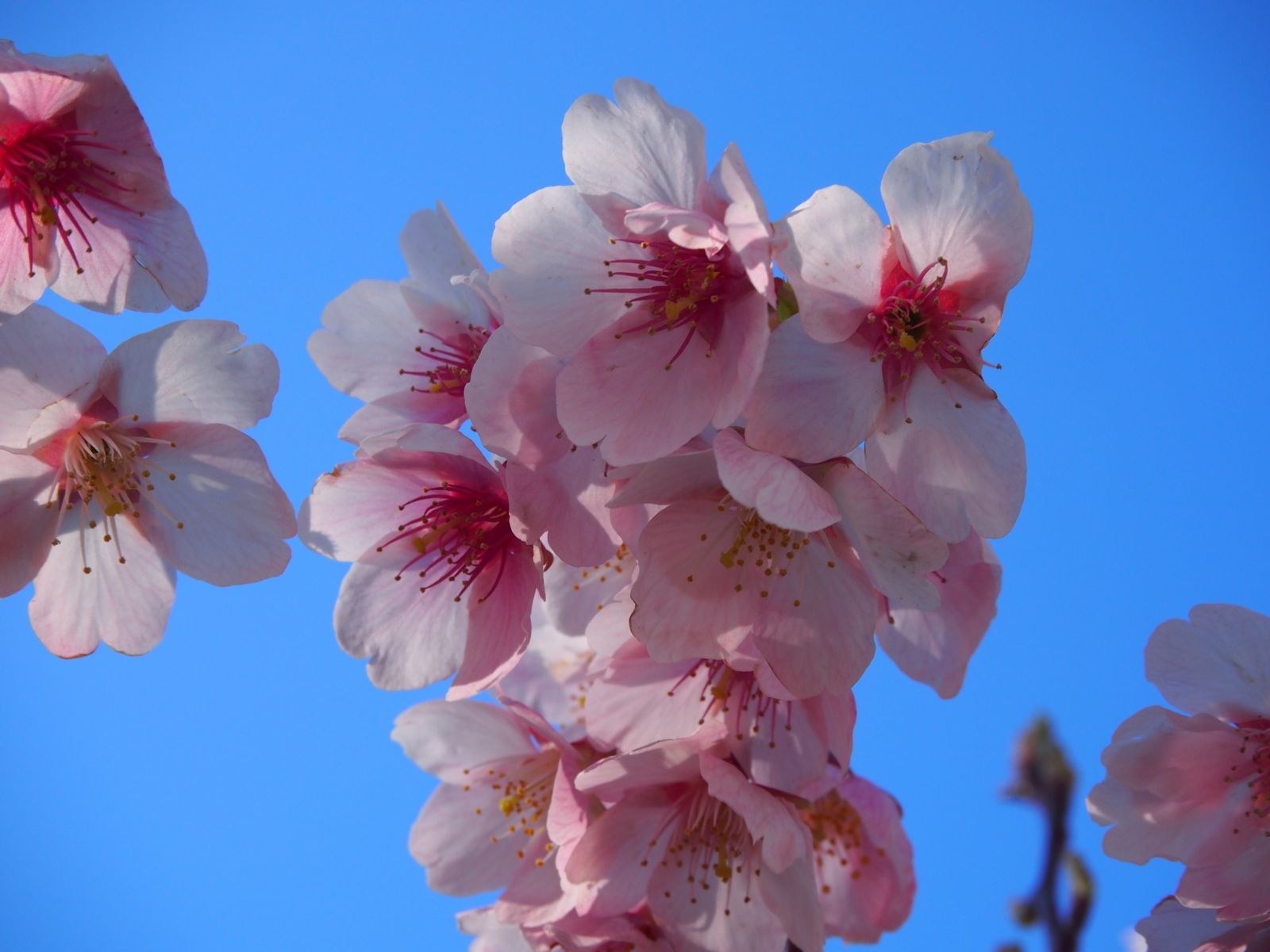 f:id:k10no3:20160312145415j:image:w640