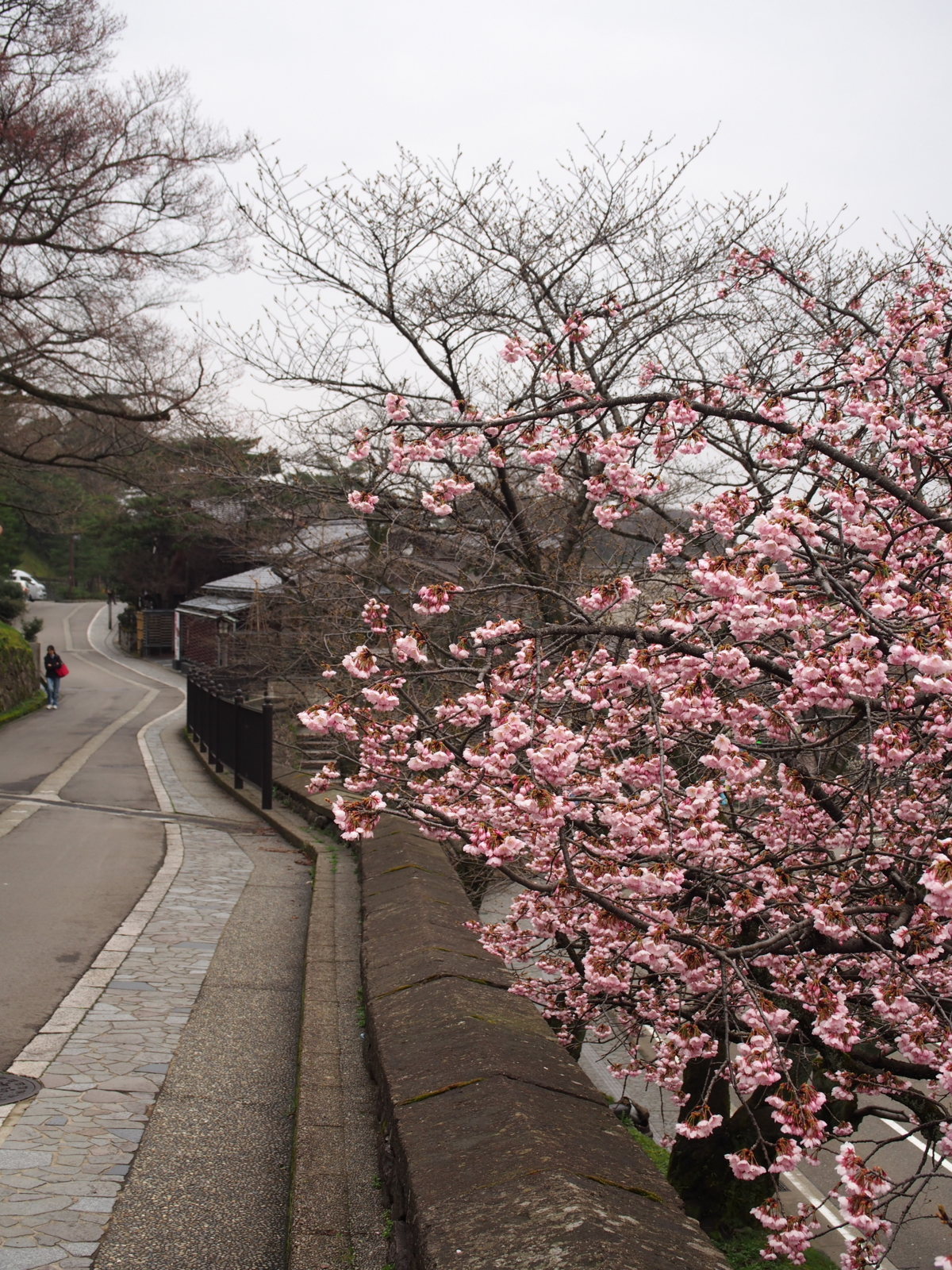 f:id:k10no3:20160320090202j:image:w318