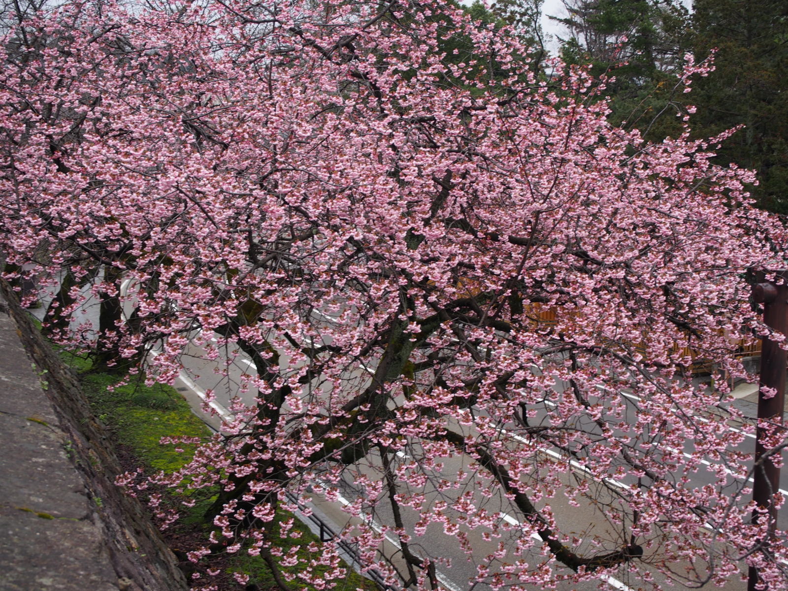 f:id:k10no3:20160320090221j:image:w640