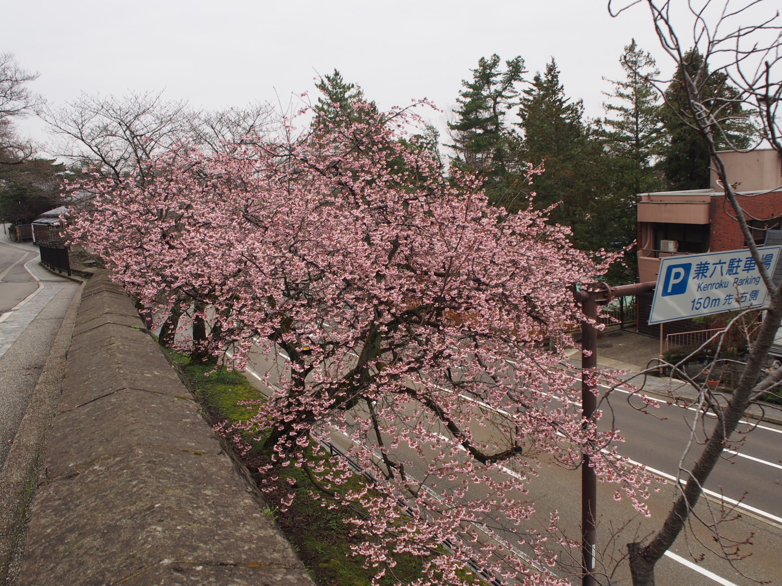 f:id:k10no3:20160320090248j:image:w640