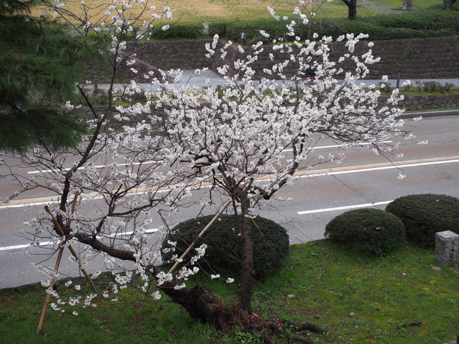 f:id:k10no3:20160320091013j:image:w640