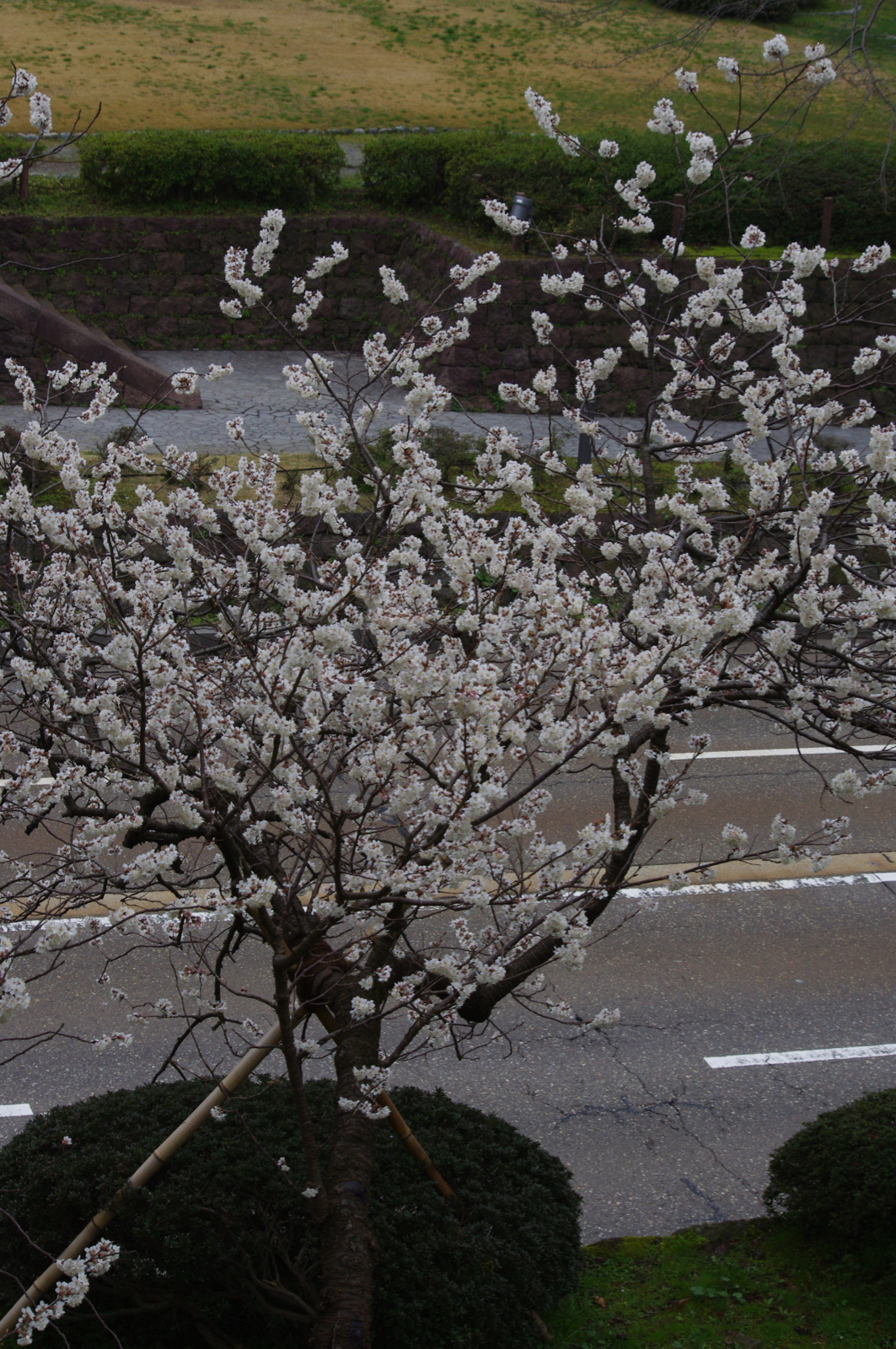 f:id:k10no3:20160320092719j:image:w318