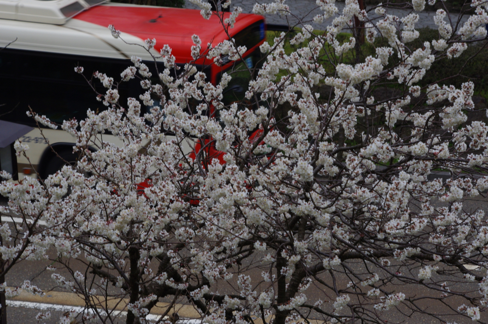 f:id:k10no3:20160320092916j:image:w640