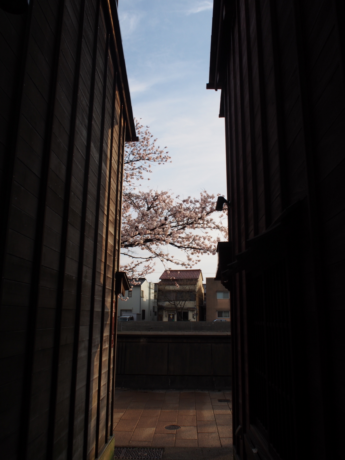 f:id:k10no3:20160403071305j:image:w318 f:id:k10no3:20160403071305j:image:w318