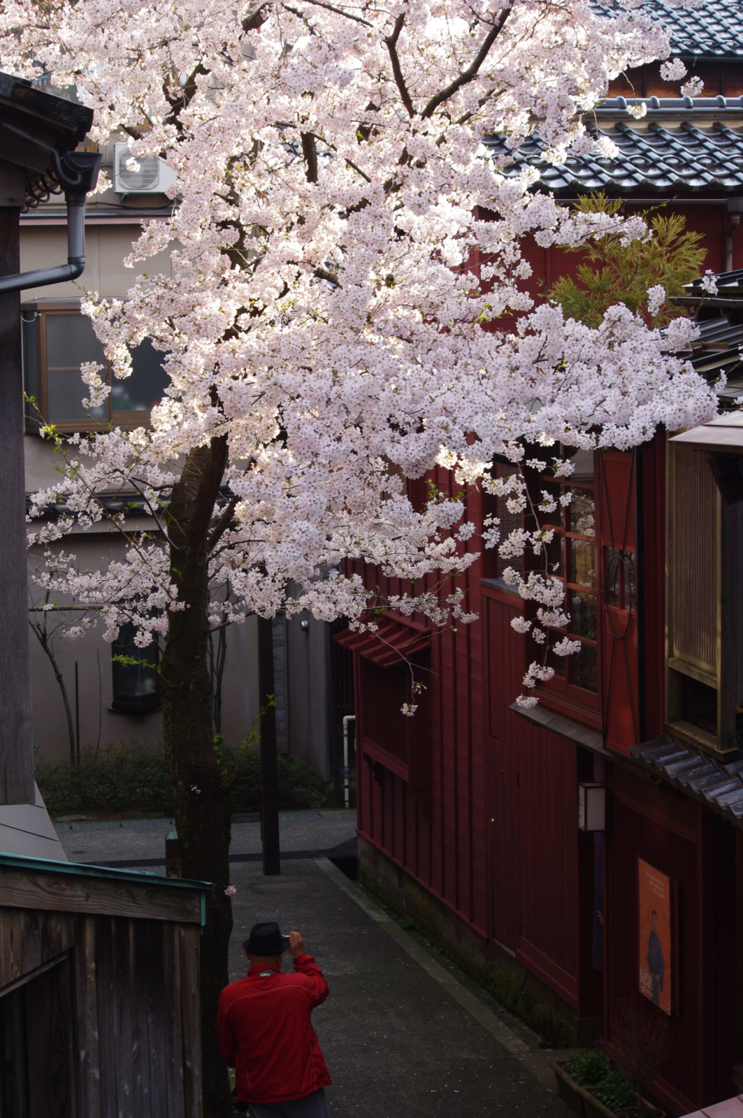f:id:k10no3:20160403072554j:image:w318 f:id:k10no3:20160403072554j:image:w318