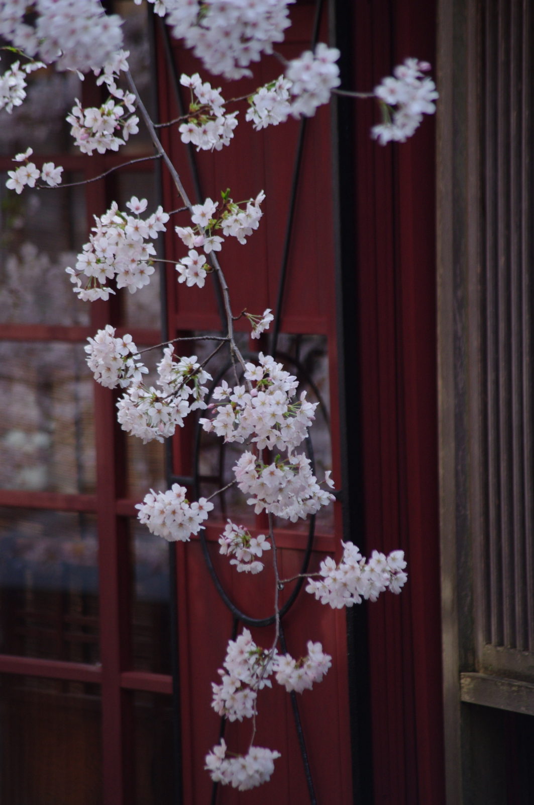f:id:k10no3:20160403072723j:image:w318 f:id:k10no3:20160403072723j:image:w318