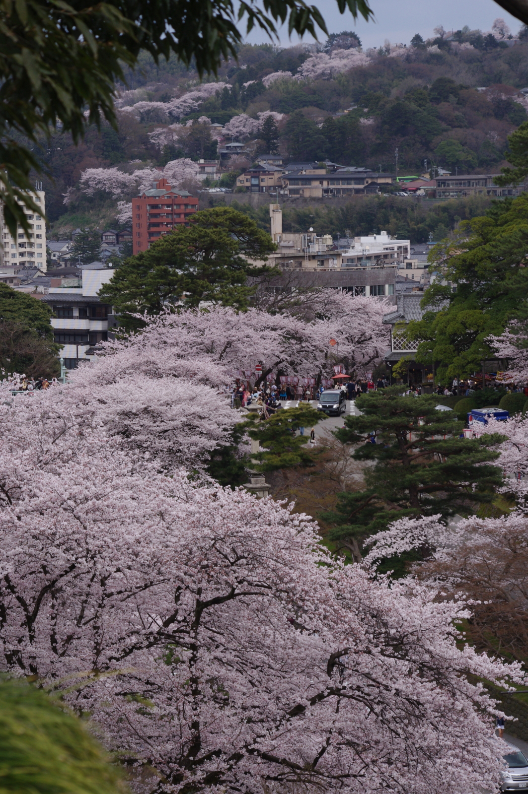 f:id:k10no3:20160403122755j:image:w318 f:id:k10no3:20160403122755j:image:w318