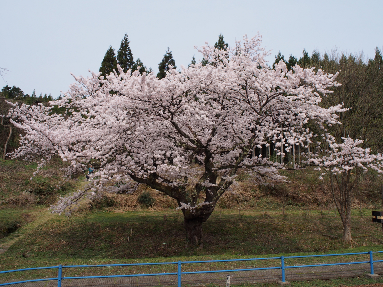 f:id:k10no3:20160410095936j:image:w640 f:id:k10no3:20160410095936j:image:w640