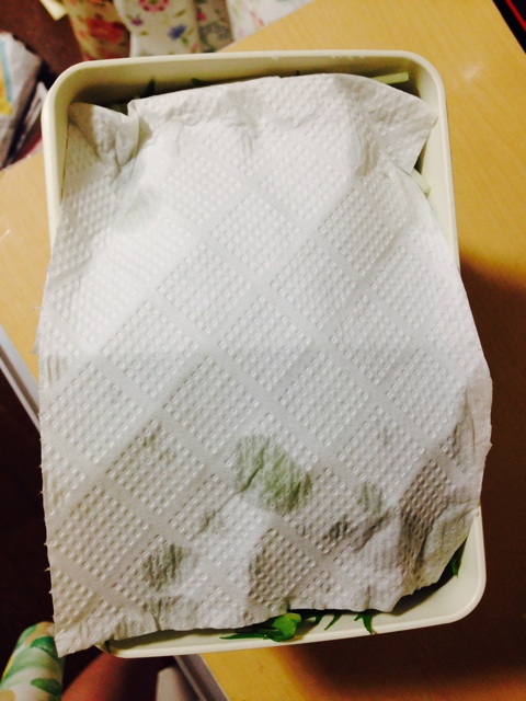 f:id:k17k24:20140703121546j:plain f:id:k17k24:20140703121546j:plain