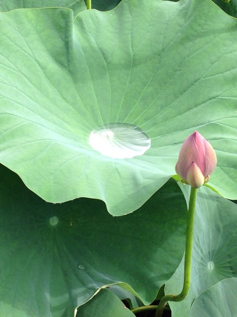 f:id:k17k24:20140708125951j:plain f:id:k17k24:20140708125951j:plain