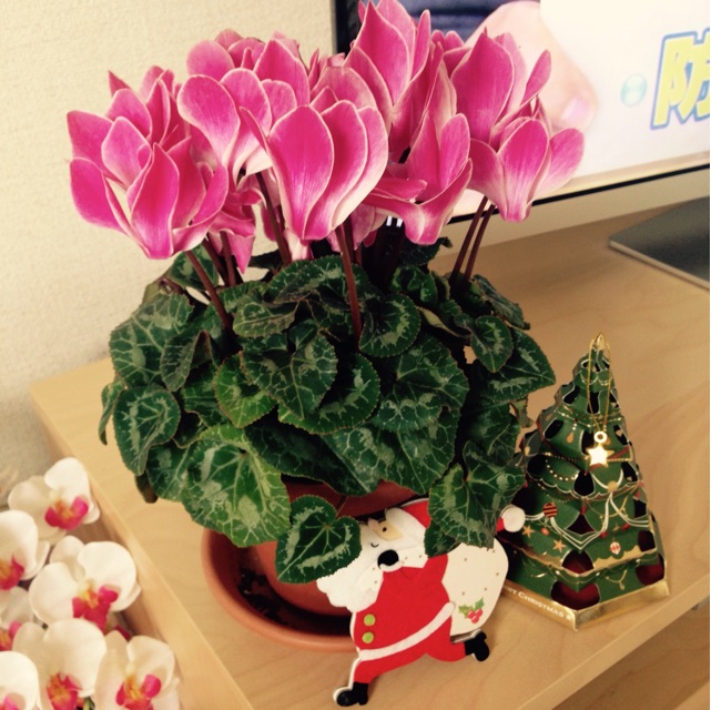 f:id:k17k24:20141124135810j:plain f:id:k17k24:20141124135810j:plain