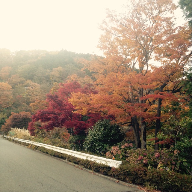f:id:k17k24:20141124141654j:plain f:id:k17k24:20141124141654j:plain