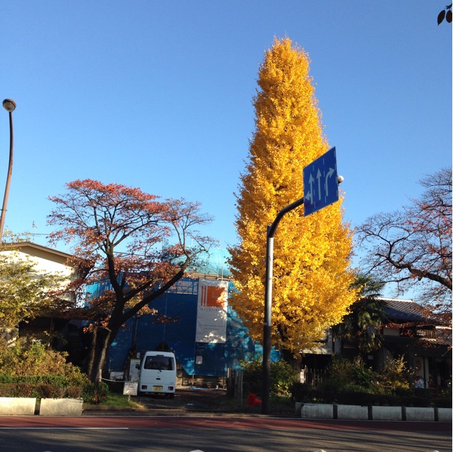 f:id:k17k24:20141127170120j:plain f:id:k17k24:20141127170120j:plain