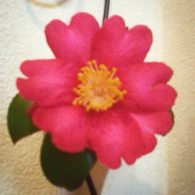 f:id:k17k24:20150128123157j:plain f:id:k17k24:20150128123157j:plain