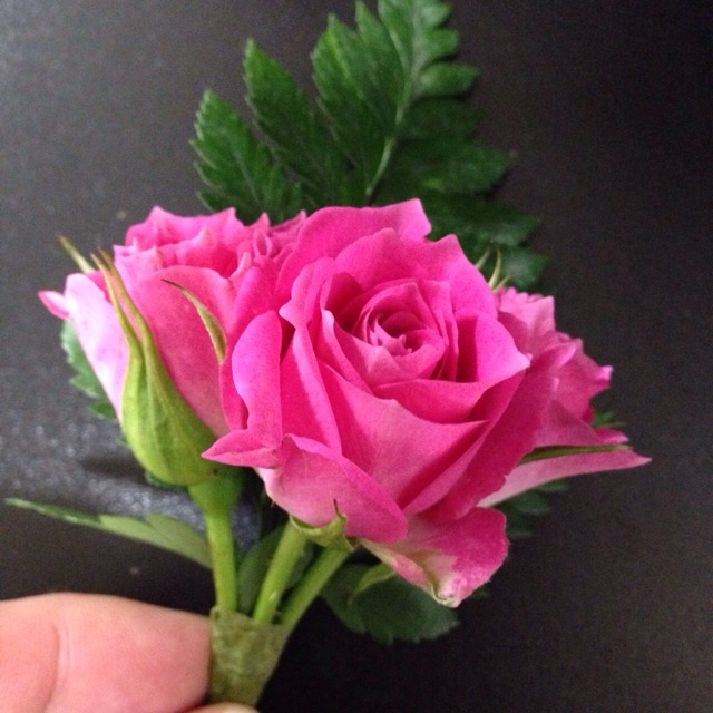 f:id:k17k24:20150224121719j:plain f:id:k17k24:20150224121719j:plain