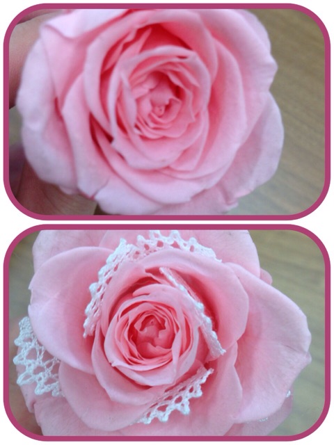 f:id:k17k24:20150321224518j:plain f:id:k17k24:20150321224518j:plain