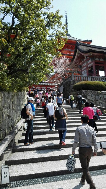 f:id:k17k24:20150401004515j:image f:id:k17k24:20150401004515j:image