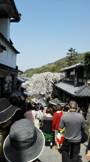 f:id:k17k24:20150405103123j:image f:id:k17k24:20150405103123j:image
