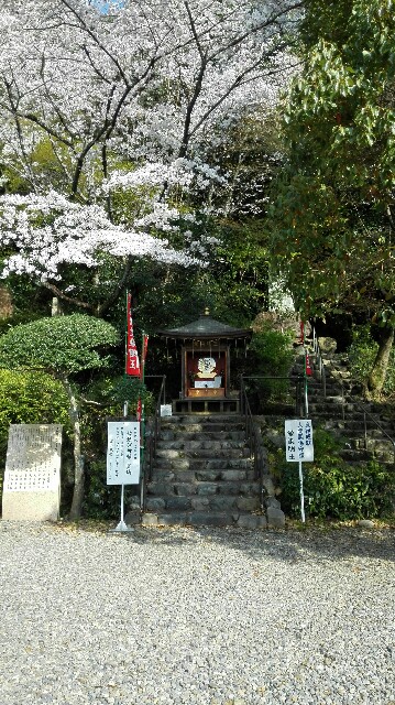 f:id:k17k24:20150425204745j:image f:id:k17k24:20150425204745j:image