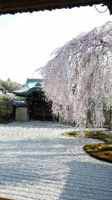 f:id:k17k24:20150430100151j:image f:id:k17k24:20150430100151j:image