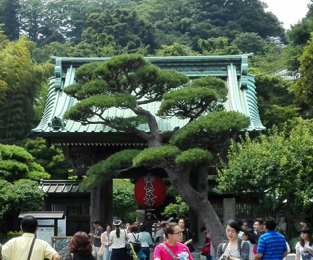 f:id:k17k24:20150615174436j:image f:id:k17k24:20150615174436j:image