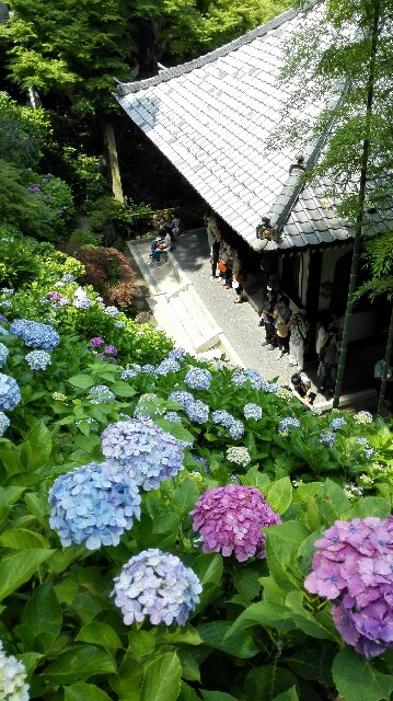 f:id:k17k24:20150615175430j:image f:id:k17k24:20150615175430j:image
