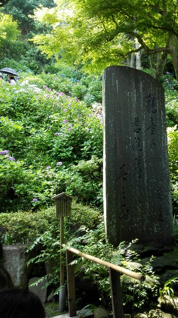 f:id:k17k24:20150615175519j:image f:id:k17k24:20150615175519j:image