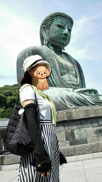 f:id:k17k24:20150617235440j:image f:id:k17k24:20150617235440j:image