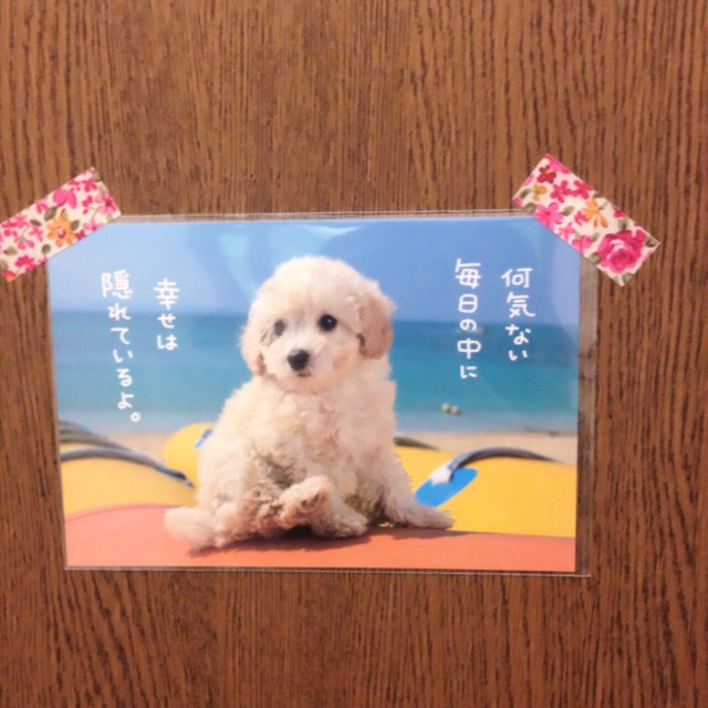 f:id:k17k24:20150702134941j:image f:id:k17k24:20150702134941j:image