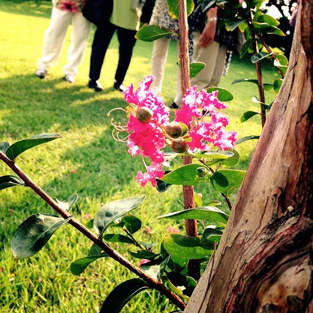 f:id:k17k24:20150915125523j:image f:id:k17k24:20150915125523j:image