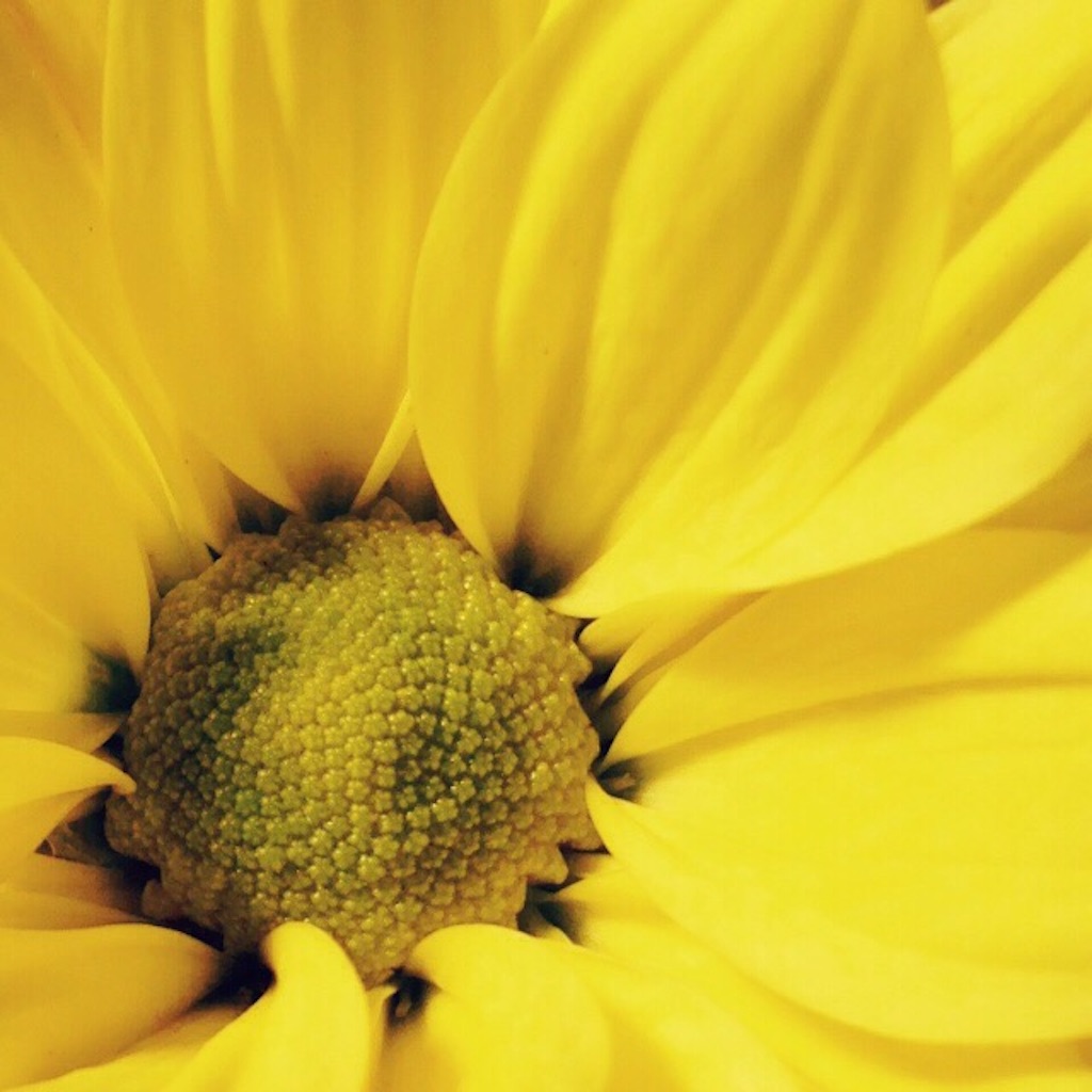 f:id:k17k24:20151013104625j:image f:id:k17k24:20151013104625j:image