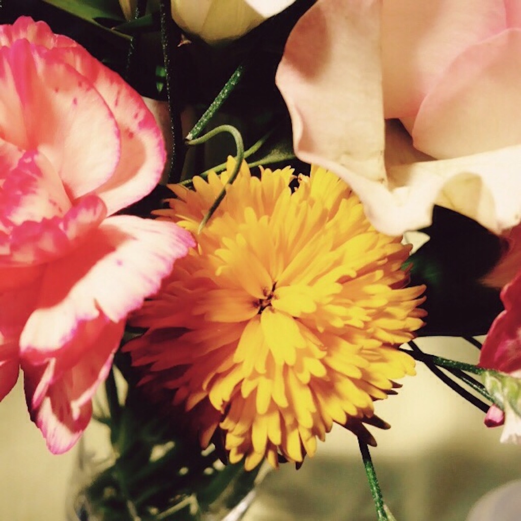 f:id:k17k24:20151013104649j:image f:id:k17k24:20151013104649j:image