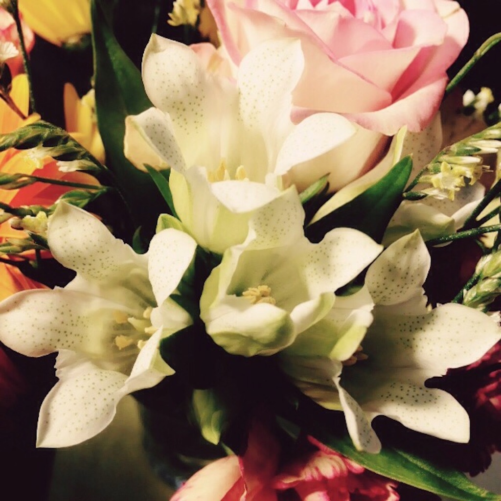 f:id:k17k24:20151013104737j:image f:id:k17k24:20151013104737j:image