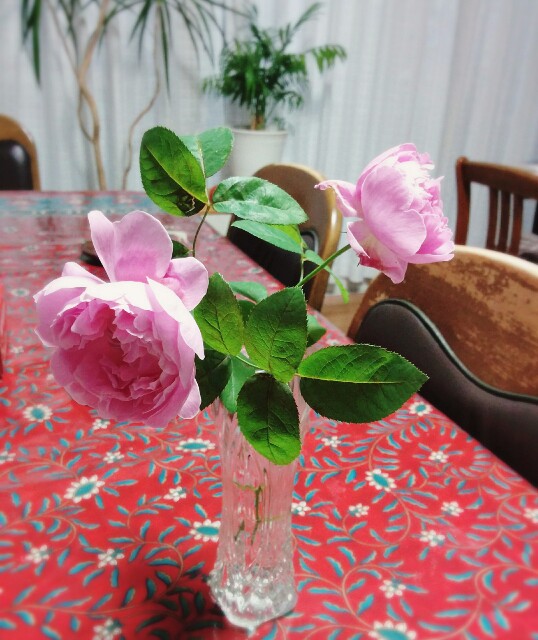 f:id:k17k24:20151031161829j:image f:id:k17k24:20151031161829j:image