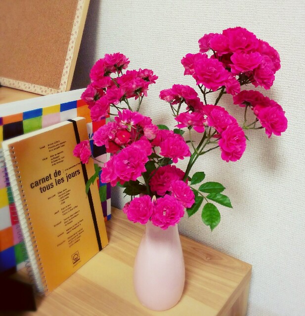 f:id:k17k24:20160528202602j:image f:id:k17k24:20160528202602j:image