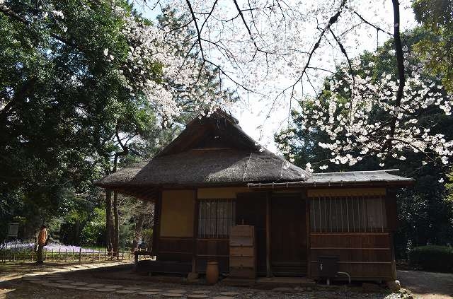 f:id:k1nako:20130325034103j:plain f:id:k1nako:20130325034103j:plain