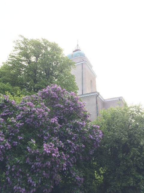 f:id:k3c:20150627103346j:image f:id:k3c:20150627103346j:image