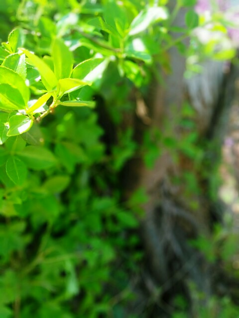 f:id:k40090:20150501202208j:image f:id:k40090:20150501202208j:image