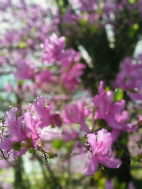 f:id:k40090:20150501220257j:image f:id:k40090:20150501220257j:image