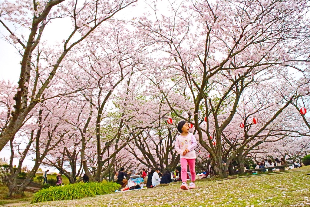 f:id:kRiyon:20160404162842j:image f:id:kRiyon:20160404162842j:image