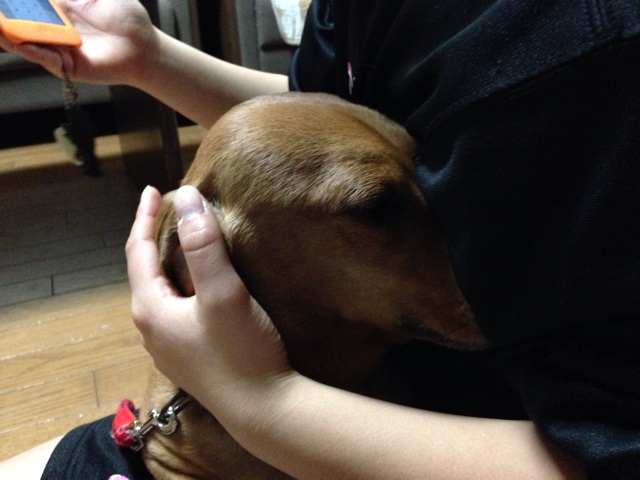 f:id:ka-ruto:20150203220340j:plain f:id:ka-ruto:20150203220340j:plain