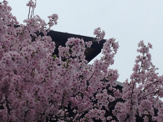 f:id:ka-ruto:20150408225820j:plain f:id:ka-ruto:20150408225820j:plain