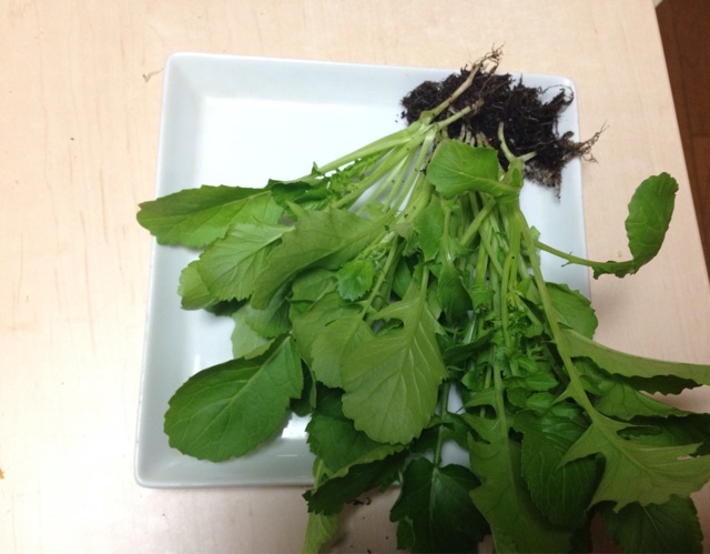 f:id:ka-ruto:20150409193356j:plain f:id:ka-ruto:20150409193356j:plain