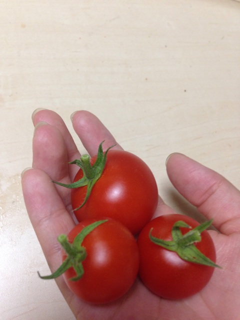 f:id:ka-ruto:20150624235326j:plain f:id:ka-ruto:20150624235326j:plain