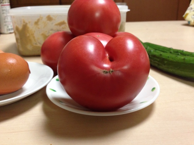 f:id:ka-ruto:20150713215531j:plain f:id:ka-ruto:20150713215531j:plain